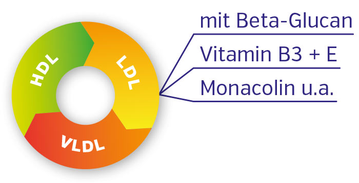 Cholesterin-Metbolismus Cholesterin-Metbolismus