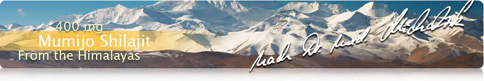 Mumijo Shilajit