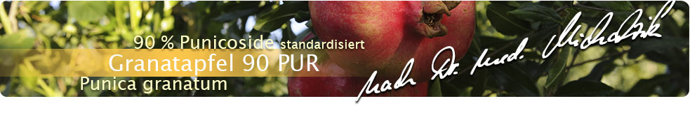 Granatapfel