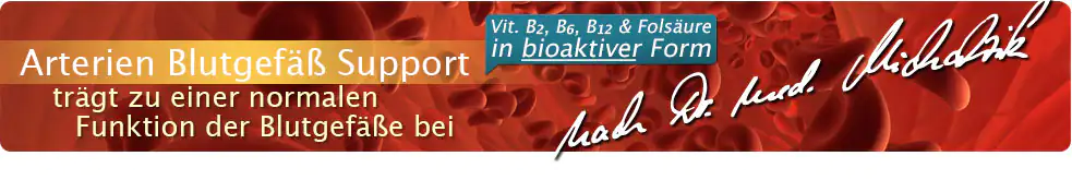 Arterien Blutgefäß Support
