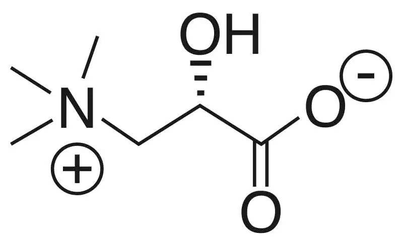 Acetyl-L-Carnitin Strukturformel Acetyl-L-Carnitin Strukturformel
