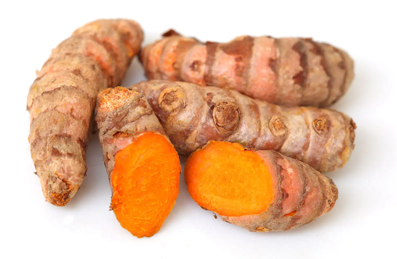 Curcuma longa Wurzeln Curcuma longa Wurzeln