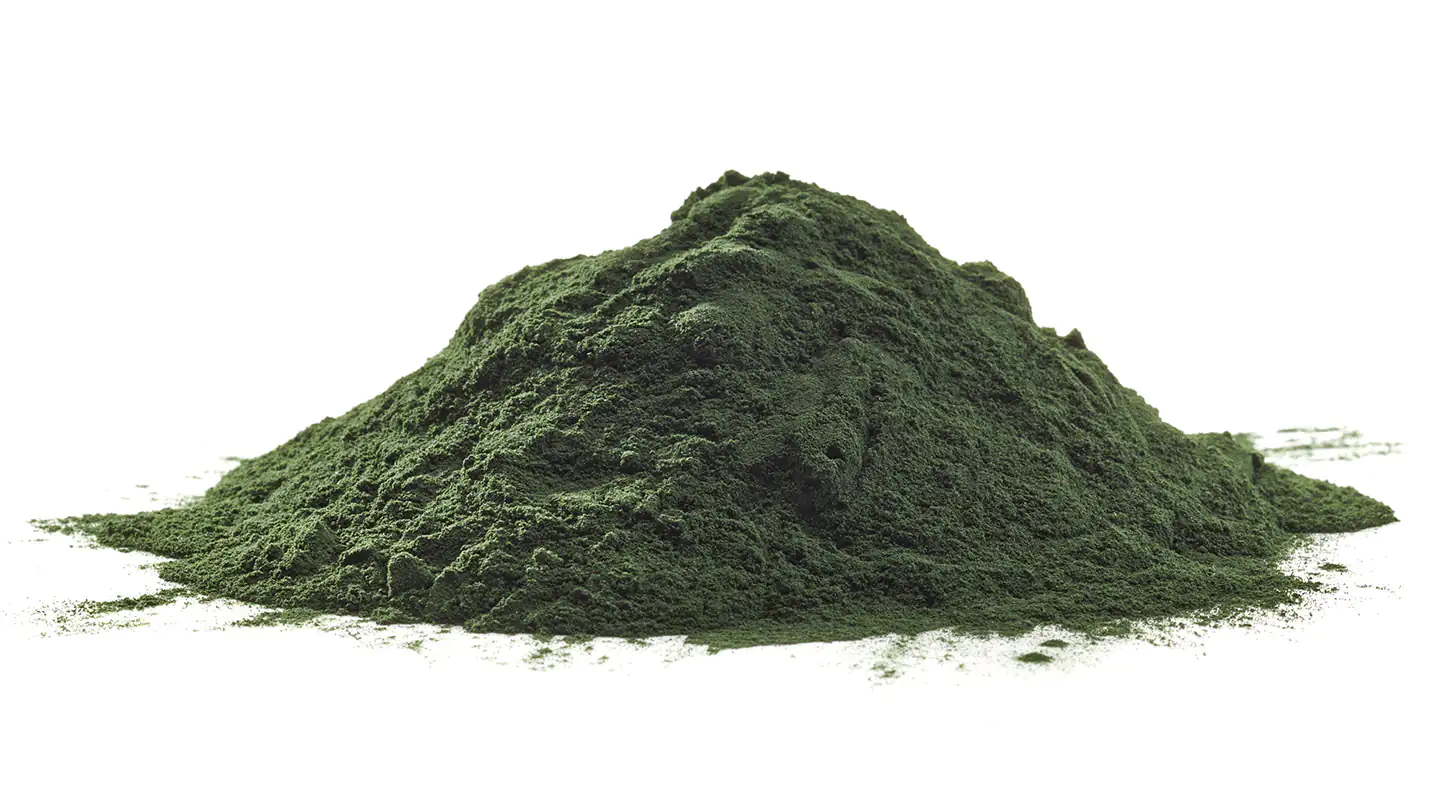 Chlorella vulgaris Pulver Chlorella vulgaris Pulver