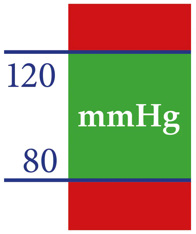 Normaler Blutdruck 80-120 mmHg Normaler Blutdruck 80-120 mmHg