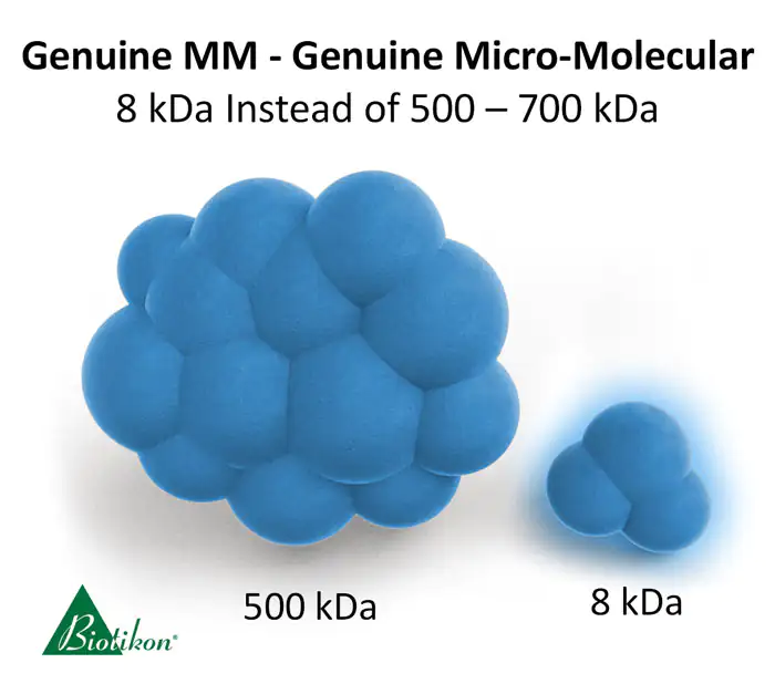 Hyaluronic Acid MM Forte