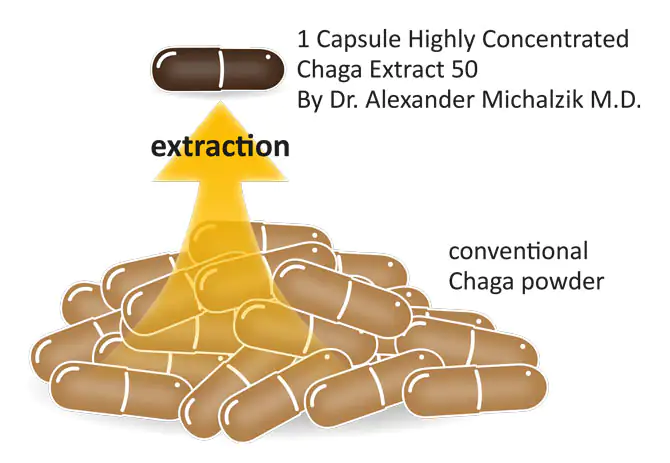 Chaga Extract 50