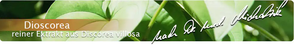 Dioscorea