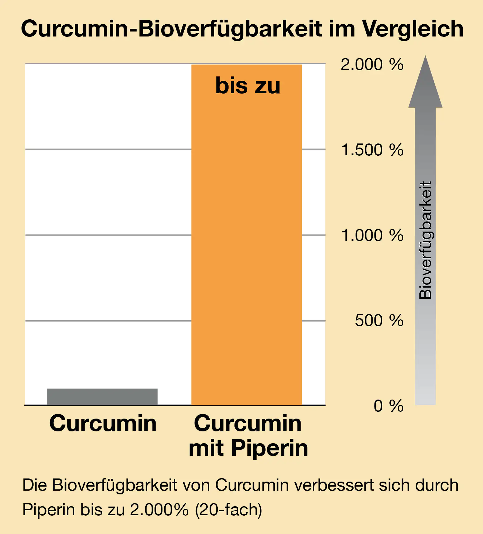 Curcuma Piperin forte