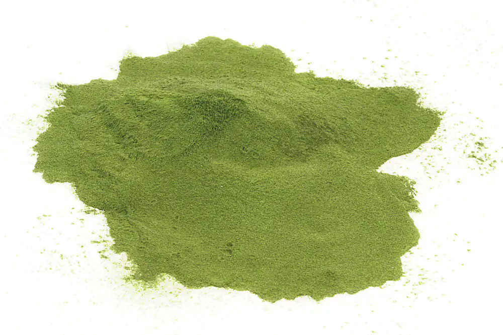 Moringa oleifera Rohkostqualität Moringa oleifera Rohkostqualität